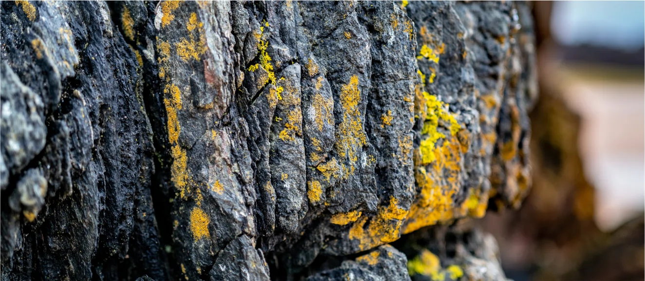 mineria pacific img1